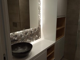 BAÑO LACADO CON MADERA